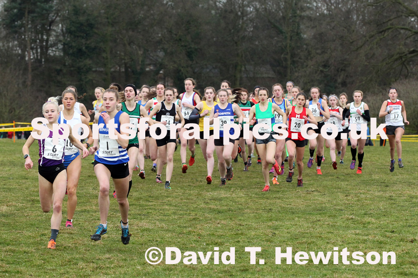 Womens under-20 Northern Cross Country Champs., Camp Hill Estate, Kirklington.  Photo: David T. Hewitson/Sports for All Pics